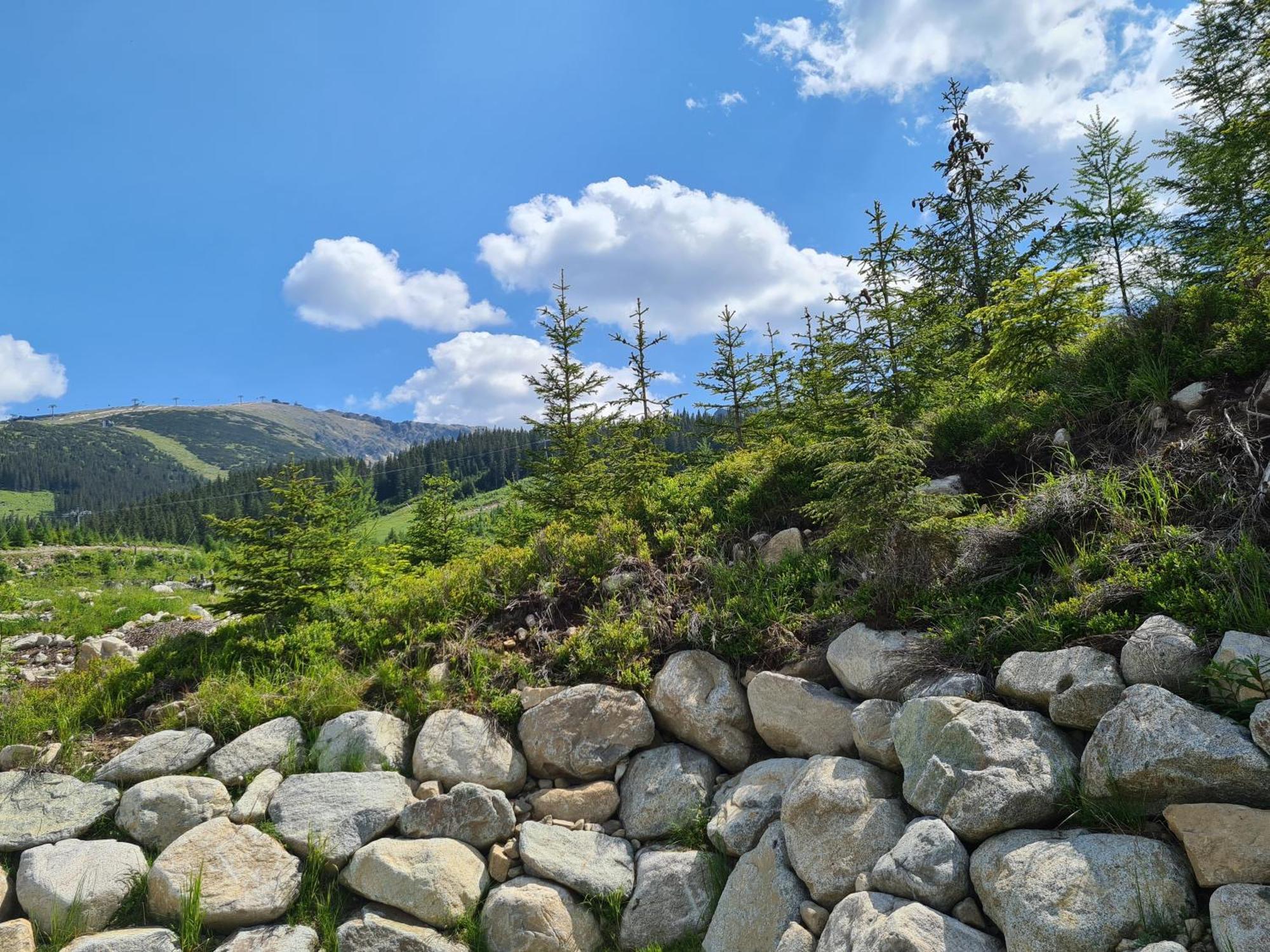 Chalet Askala Jasna Demanovska Dolina Exteriör bild